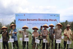 Pagar Alam Siap Jadi Sentra Baru Bawang Merah: Sinergi BI dan Pemkot Berbuah Panen Melimpah