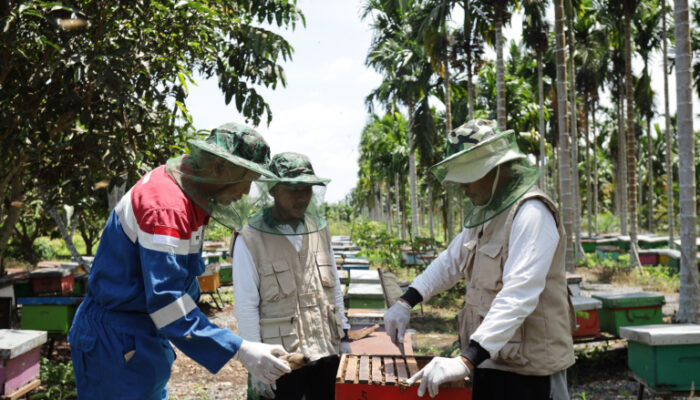Dengung Kecil dari Desa Menggema ke Dunia: Beeyond Honey PHE Jambi Merang Raih Penghargaan Internasional