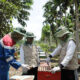 Dengung Kecil dari Desa Menggema ke Dunia: Beeyond Honey PHE Jambi Merang Raih Penghargaan Internasional