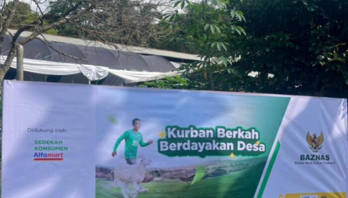 BAZNAS Salurkan Sedekah Pelanggan Alfamart, Hadirkan Kebahagiaan Idul Adha