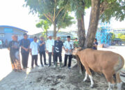UPGRIP Palembang Tebar Kepedulian Iduladha 1446 H, Sembelih 7 Sapi Qurban dan Perkuat Nilai Kebersamaan Kampus