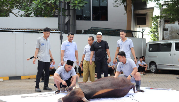 Semangat Berbagi di Hari Raya Idul Adha, BATIQA Hotel Palembang Salurkan 179 Paket Daging Qurban
