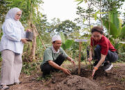 CIMB Niaga Perkuat Konservasi Bambu Berbasis Masyarakat di Lombok Tengah