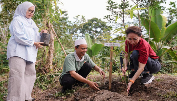 CIMB Niaga Perkuat Konservasi Bambu Berbasis Masyarakat di Lombok Tengah