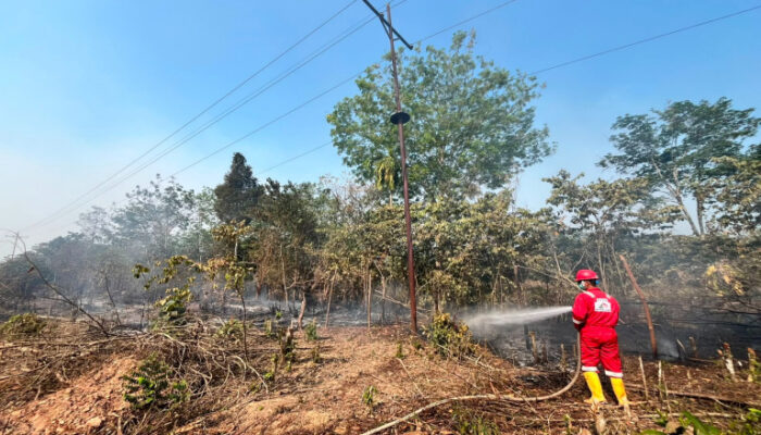 Bersama Perangi Asap, Pertamina EP Ramba Field Bantu Warga Padamkan Karhutla di Sekitar Wilayah Operasi