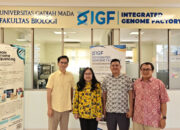 Tim Riset FPK UPGRIP dan BRIN Dalami Genom Ikan Belida, Perkuat Riset Konservasi Berbasis Bioinformatika