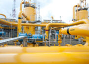 PGN Siap Integrasikan Biomethane ke Infrastruktur Gas, Dorong Pemanfaatan Energi Rendah Karbon