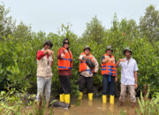 Kawal Pertumbuhan 22.000 Mangrove, Medco E&P Grissik Ltd. Lakukan Monev Bersama LDPHD Sungsang IV