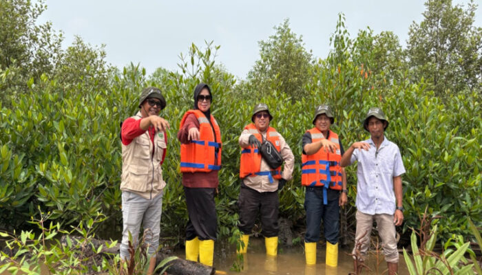 Kawal Pertumbuhan 22.000 Mangrove, Medco E&P Grissik Ltd. Lakukan Monev Bersama LDPHD Sungsang IV